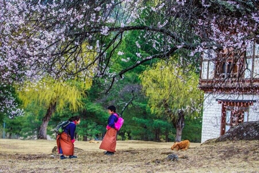 Khí Hậu Bhutan mùa Xuân