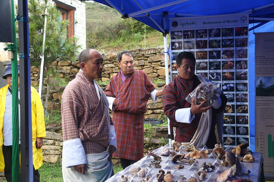 Lễ hội truyền thống Bhutan Matsutake