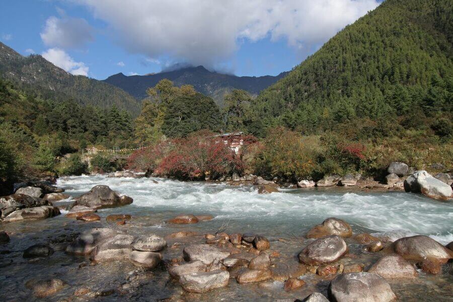 Địa Điểm Check-In Bhutan Công viên Quốc gia Jigme Dorji