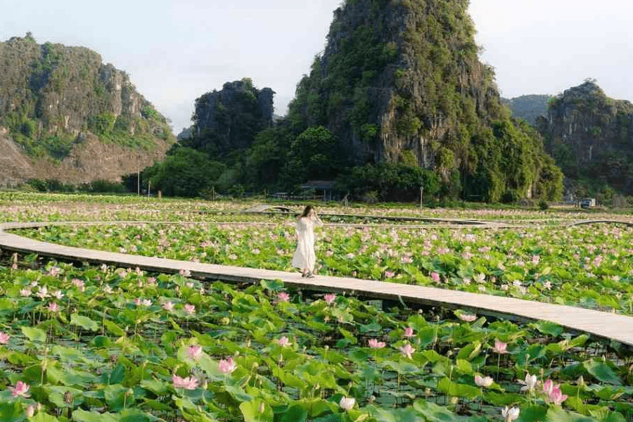 Hang Động Việt Nam | Cùng Khám Phá Những Hang Động Đẹp Và Hùng Vỹ Nhất