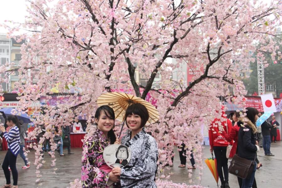 Lễ Hội Nhật Bản - Lễ hội Hanami